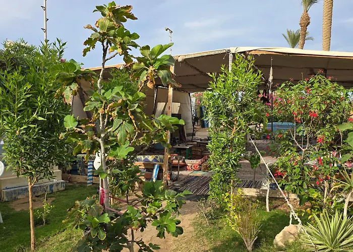 Taiba Golden Apartmanhotel